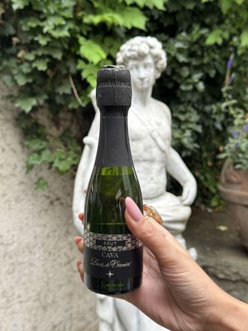 Louis de Vernier Cava Brut