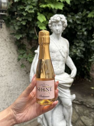 Bristena Shine Spumant Rosé