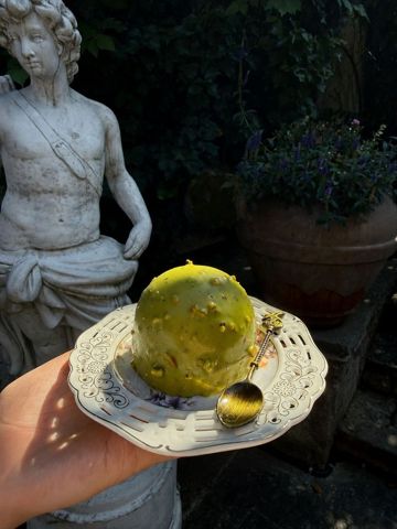Pistachio Dome