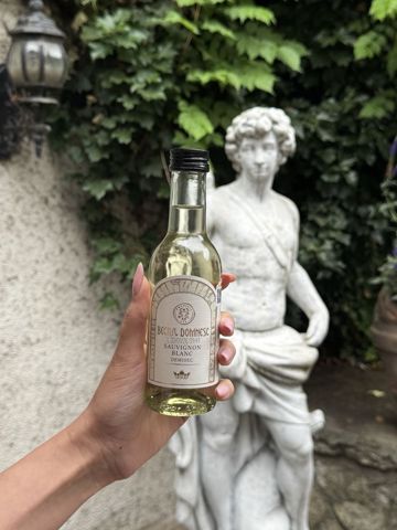 Beciul Domnesc Sauvignon Blanc