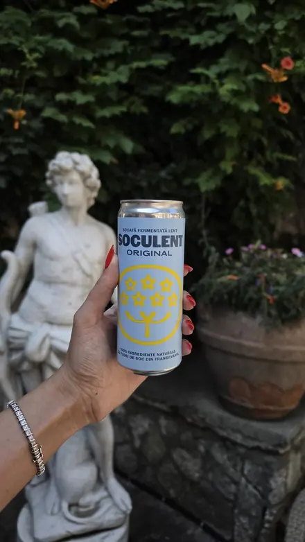 Soculent Socată Original