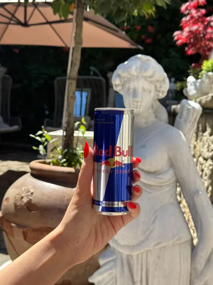 Red Bull Energy Drink