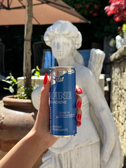 Red Bull Ediția Afine Canadiene