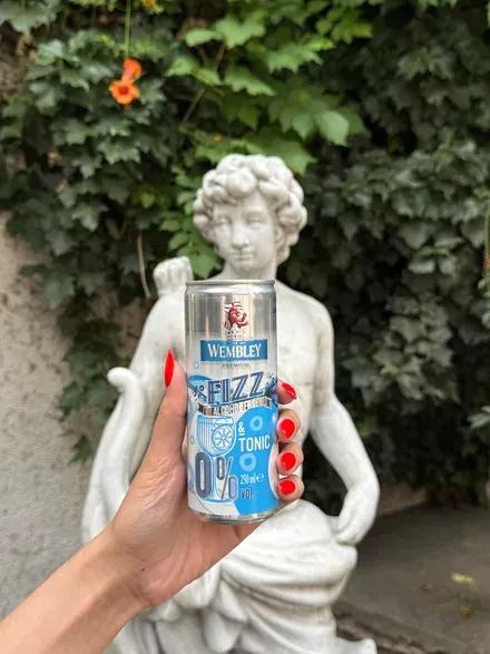Wembley Fizz G&T Fără Alcool