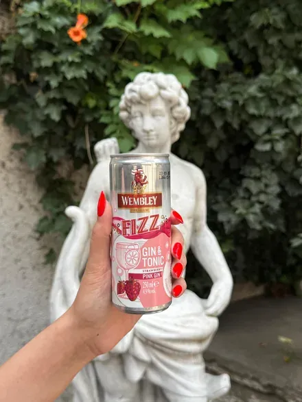 Wembley Fizz G&T Pink