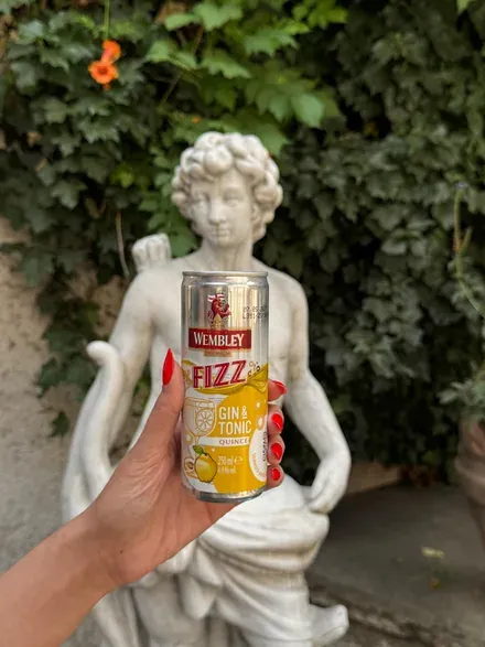 Wembley Fizz G&T Gutuie