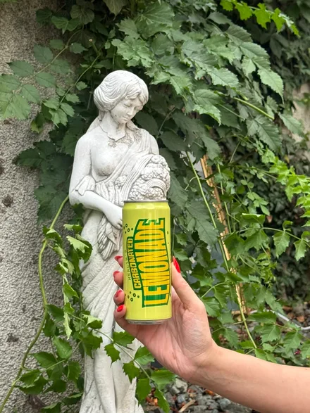 Carbonated Lemonade Lime & Menta