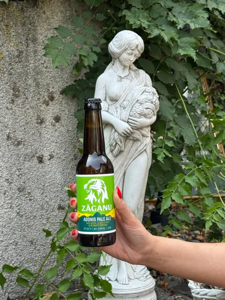 Zaganu Adonis 13,5°P