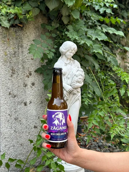 Zaganu New England IPA 13,5°P