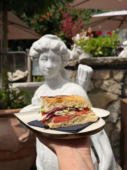 Panini Humus (Vegetarian)