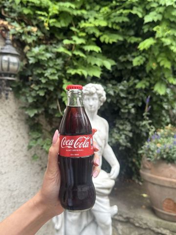 Coca-Cola 0,33L NRGB