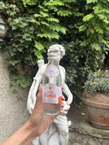ACQUA PANNA Naturală — 0,25L · Toscana, format individual