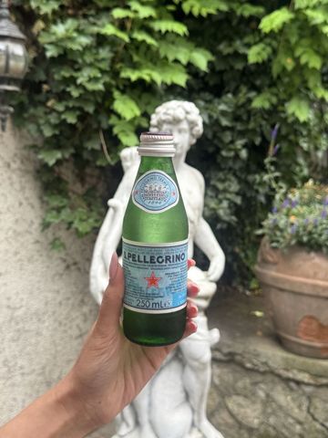 SAN PELLEGRINO Carbogazoasă — 0,25L · Italia, format individual