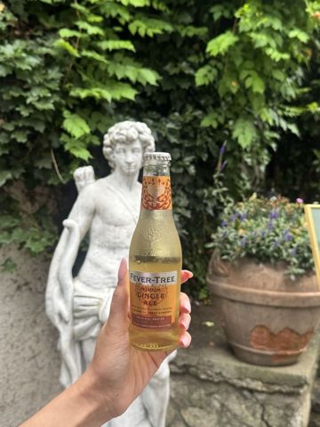 Fever Tree Ginger Ale — porție individuală