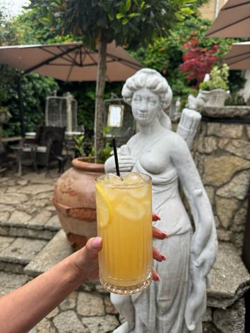 Demmers Lemon Ginger rece