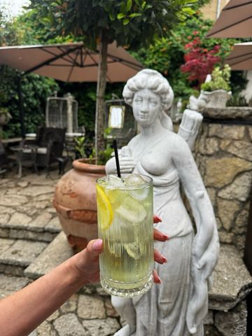 Demmers Bio Pfefferminze rece — mentă BIO